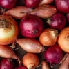 Onion Prices Jump to Tk 150 per kg in Two Days
